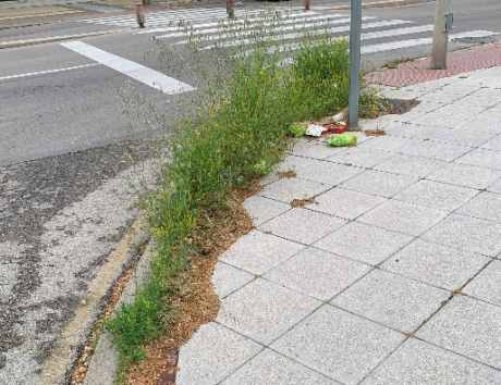 La Moraleja no se vende